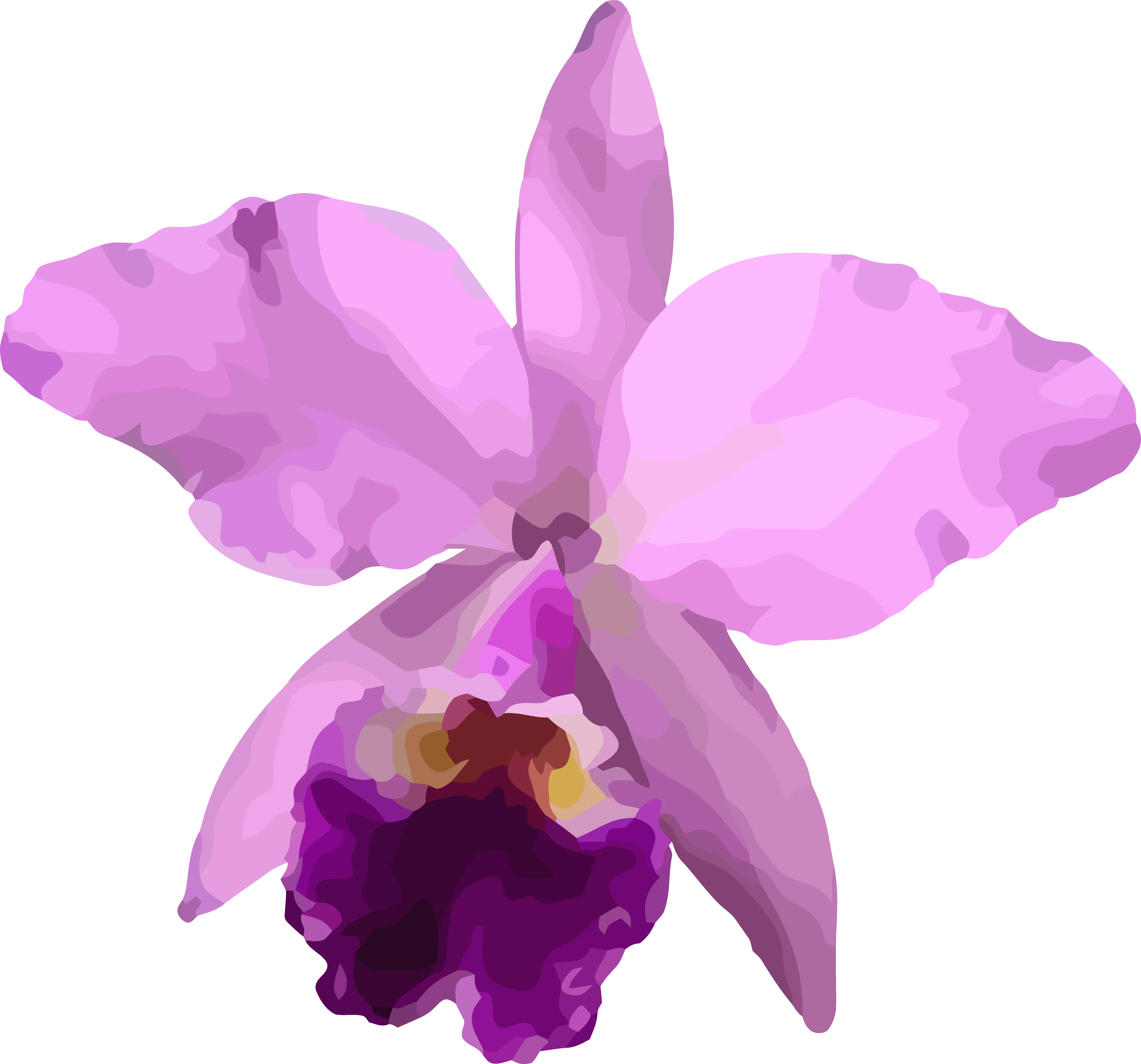 Flora de la región
